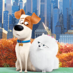 Secret Life of Pets
