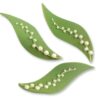Sykurblóm - Lily of the valley